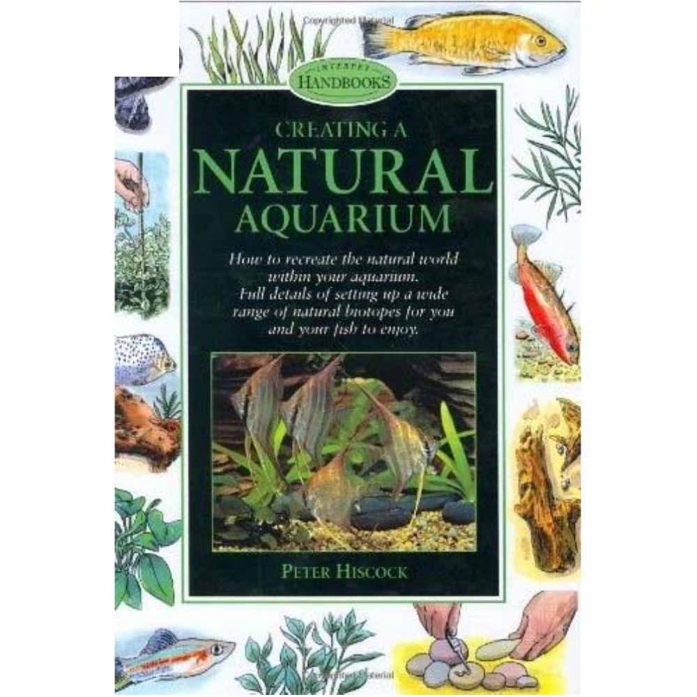 Creating a Natural Aquarium
