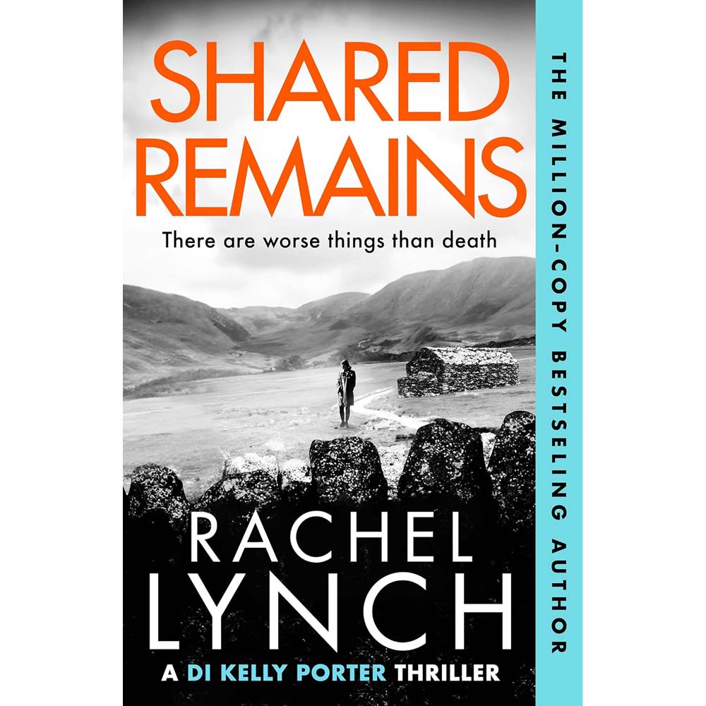 D.I. Kelly Porter Series