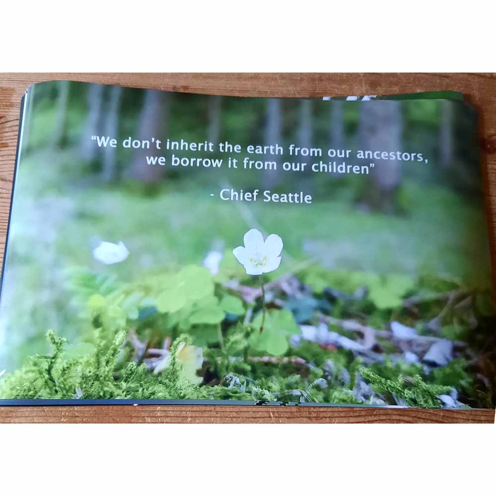 We Don't Inherit the Earth . . . Print