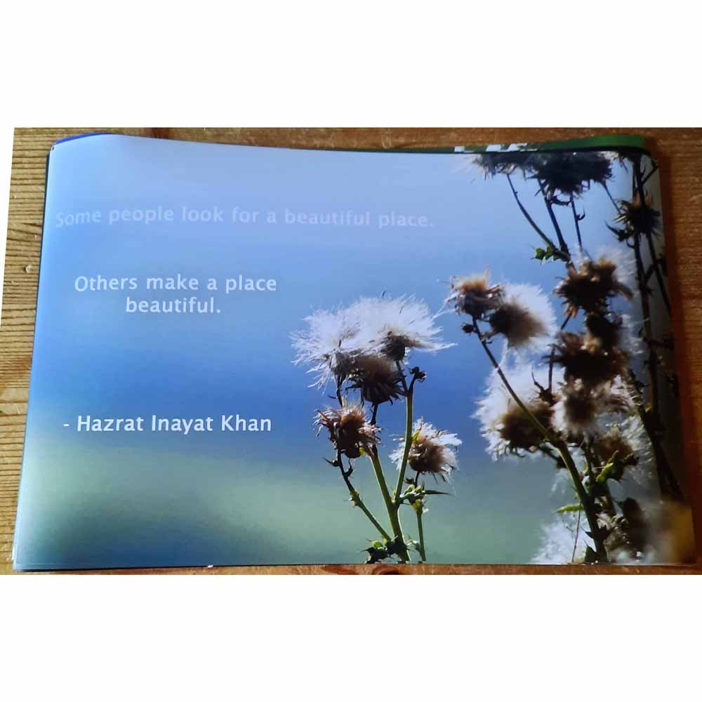 Some People Look for Beautiful Places . .. Print