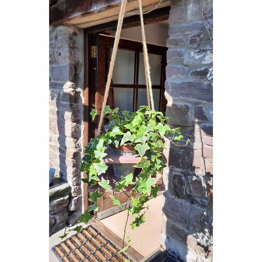 Rustic Hanging Planters