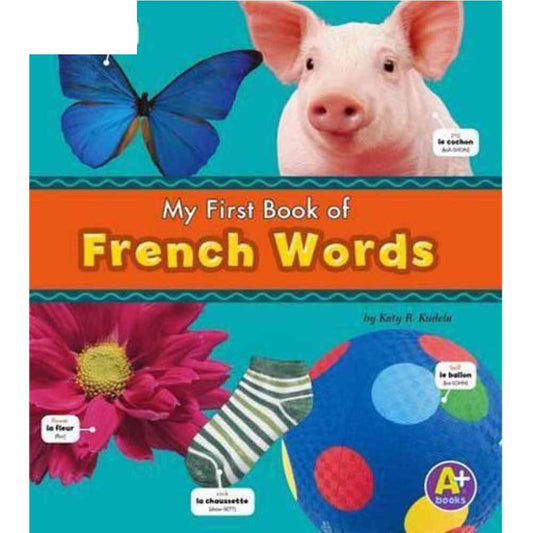 My first Book of French Words - English/French Picture Dictionary