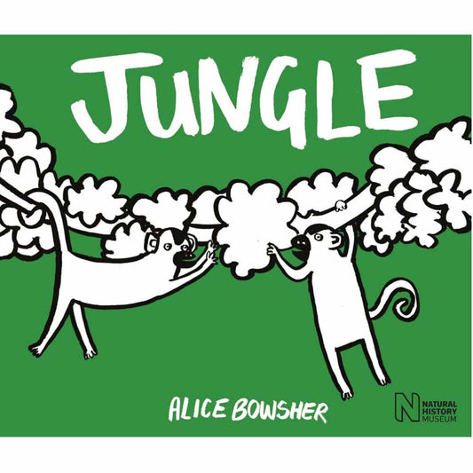 Lift-the-Flap and Colour: Jungle