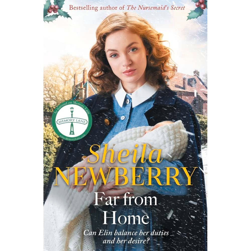 Stand Alone Novels by Sheila Newberry