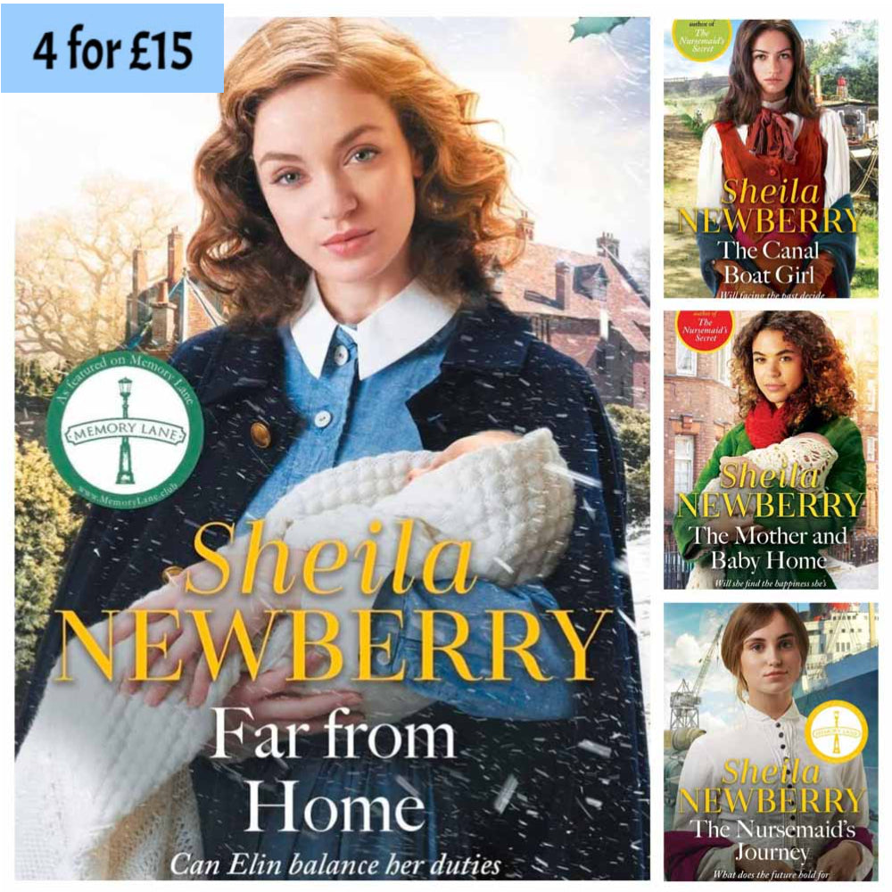 Stand Alone Novels by Sheila Newberry