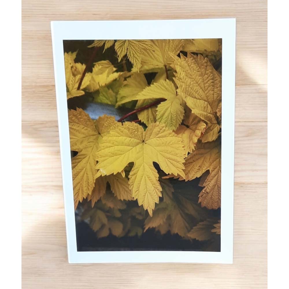 Autumn Leaves Cards