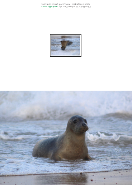 Seal Collection Cards