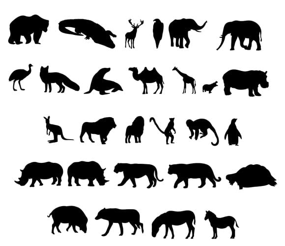 Zoo / Wildlife Animal Silhouettes (Set of 28)