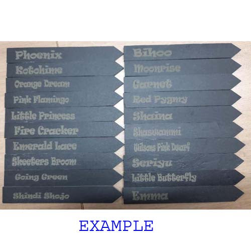 Slate Plant Markers - customise