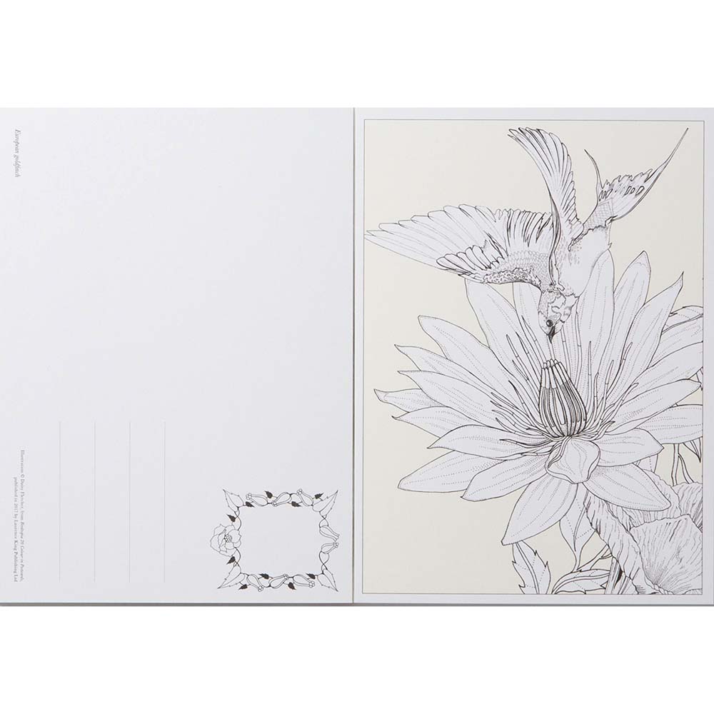 Birdtopia Colour In Postcards