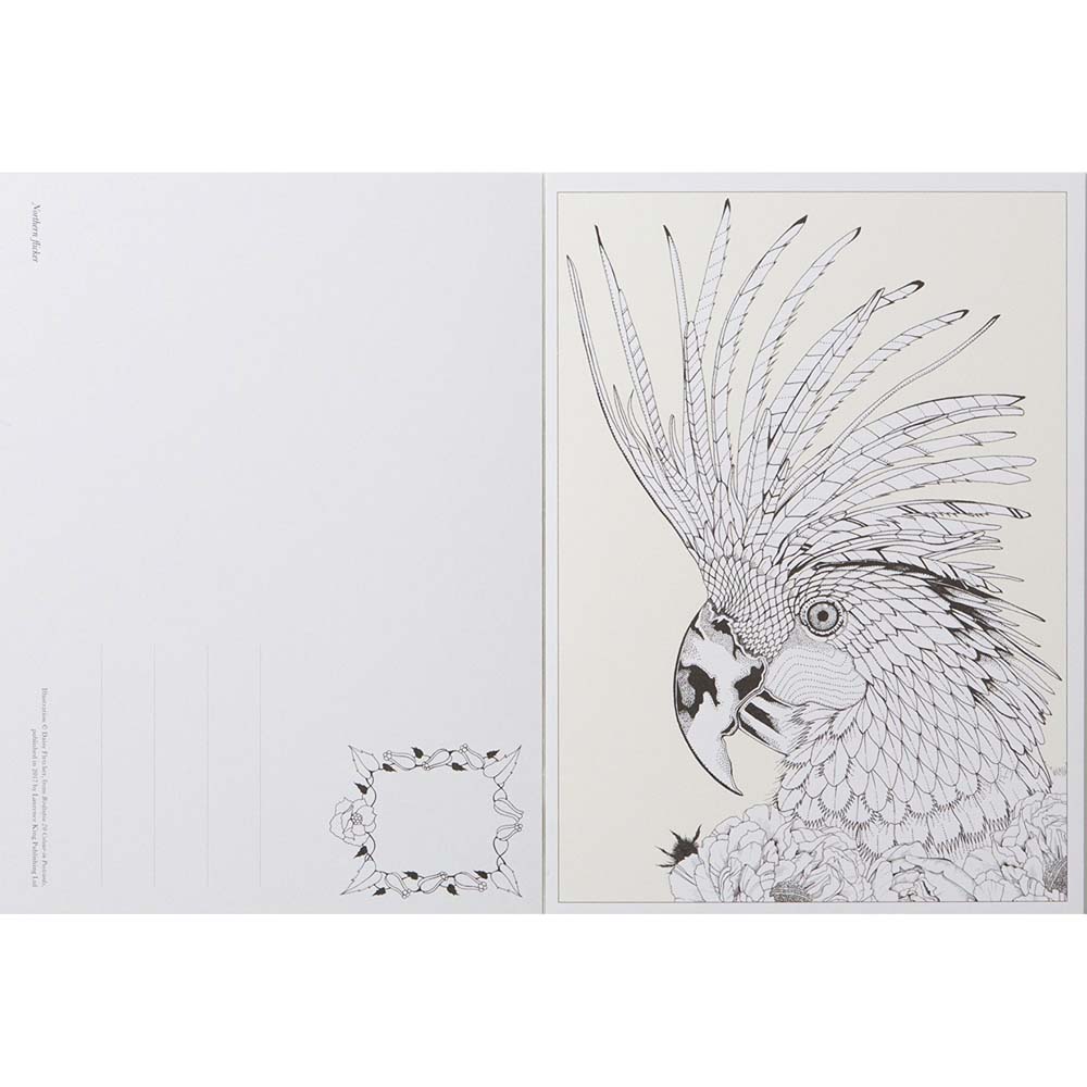 Birdtopia Colour In Postcards