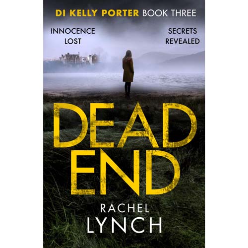 D.I. Kelly Porter Series