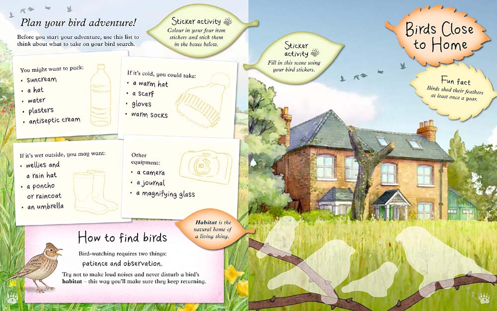 We're Going on a Bear Hunt:  Let's Discover Birds