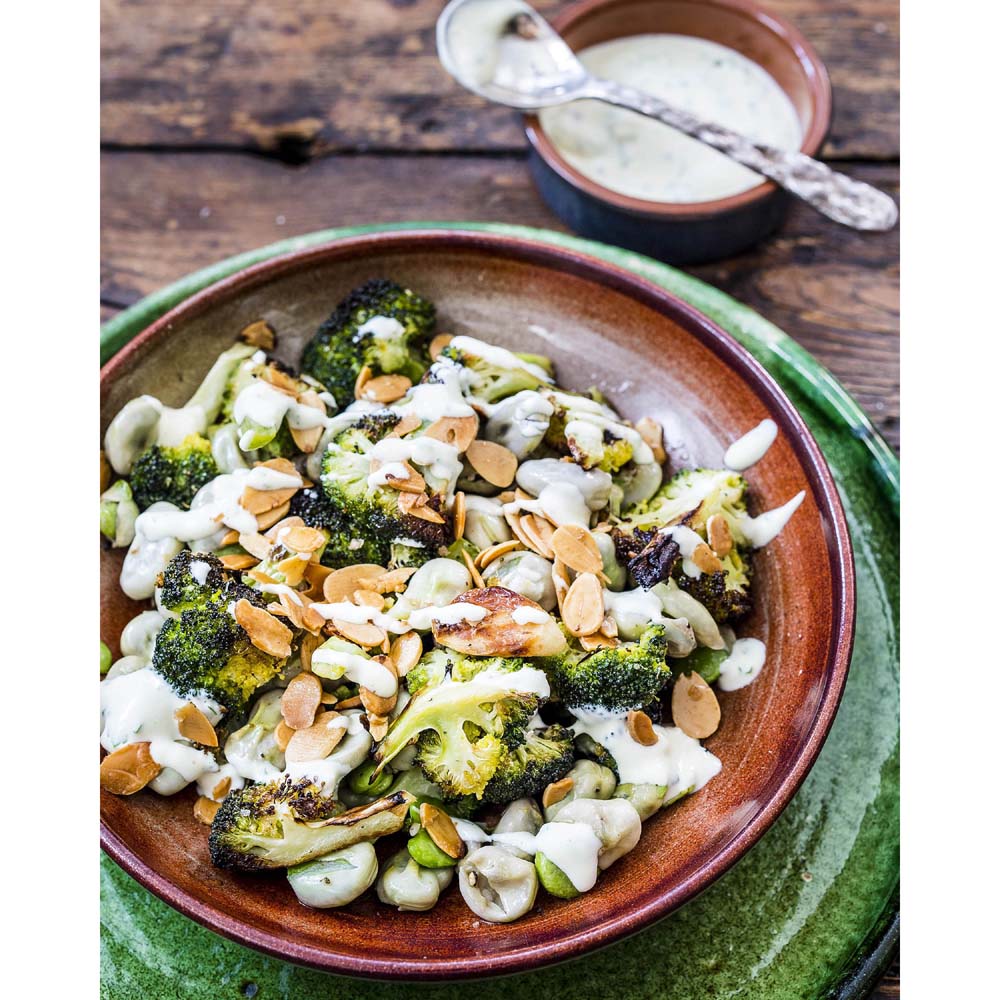 Jack Stein's World on a Plate