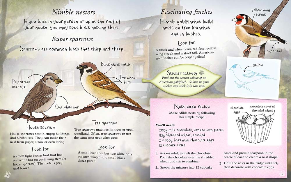 We're Going on a Bear Hunt:  Let's Discover Birds