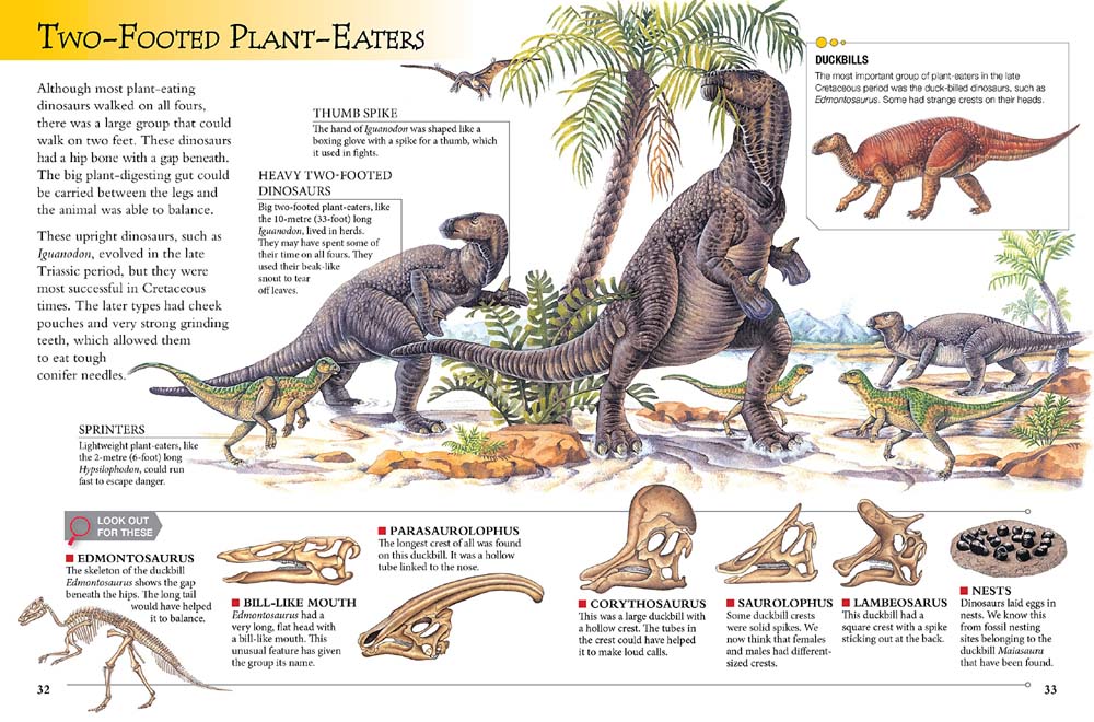 Dinosaurs and Prehistoric Life