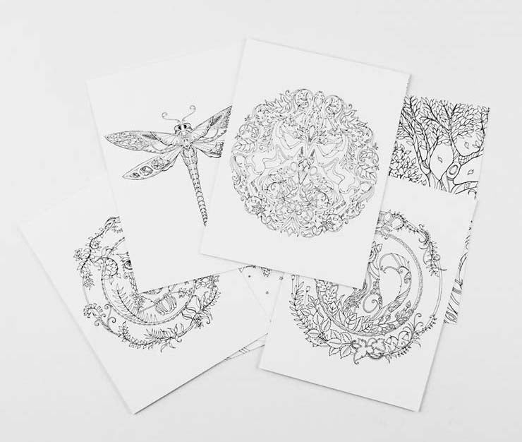Enchanted Forest Colour in Notecards
