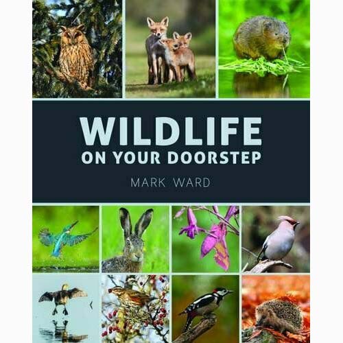 Wildlife on Your Doorstep