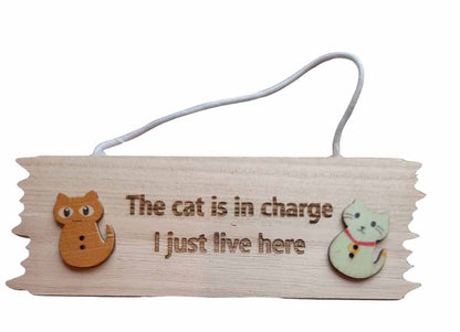 The Cat Is In Charge