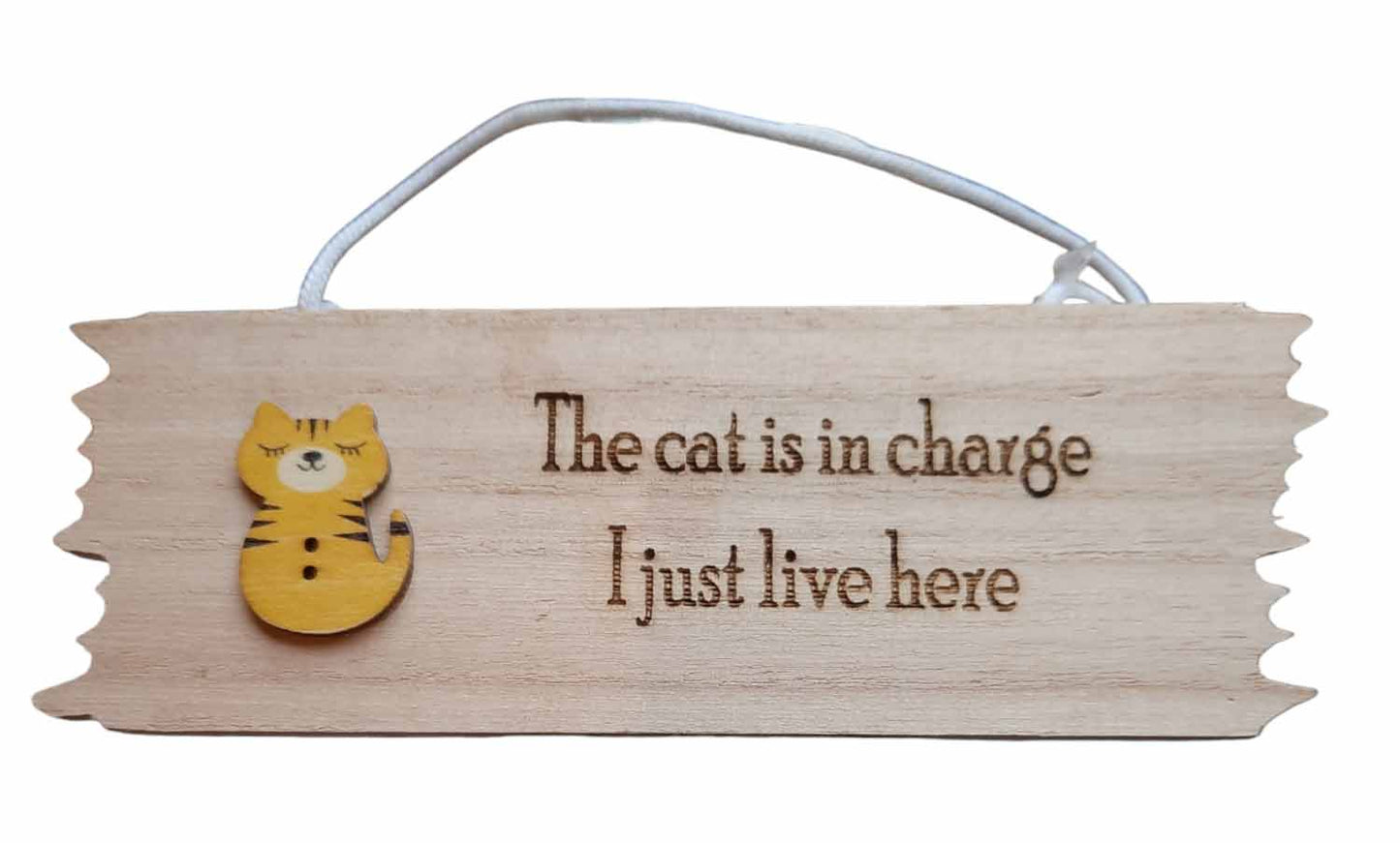 The Cat Is In Charge