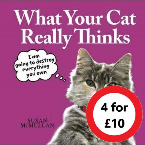 What Your Cat Really Thinks