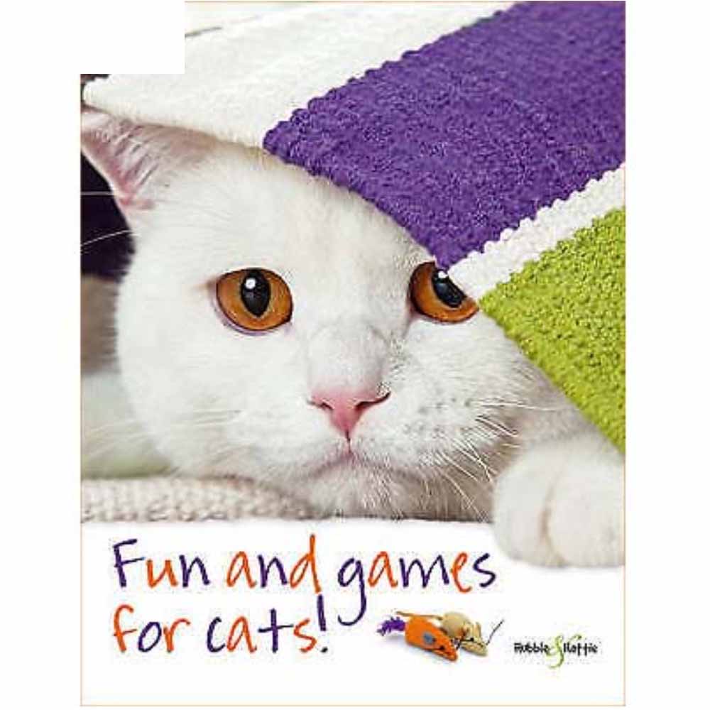 Fun and Games for Cats