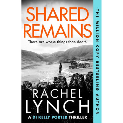 D.I. Kelly Porter Series