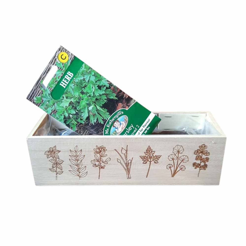 Grow Your Own Herb Boxes