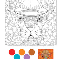 Jungle Safari Colouring Collection