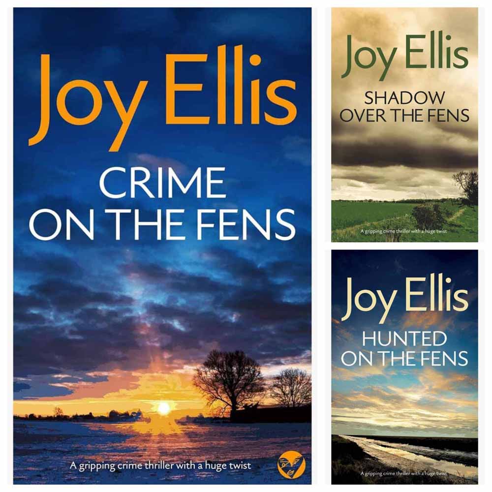 Detective Nikki Galena Series