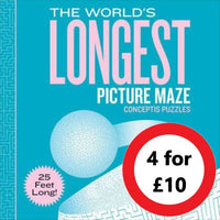 The World's Longest Picture Maze  (25 Feet Long)