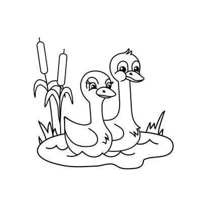 Birds