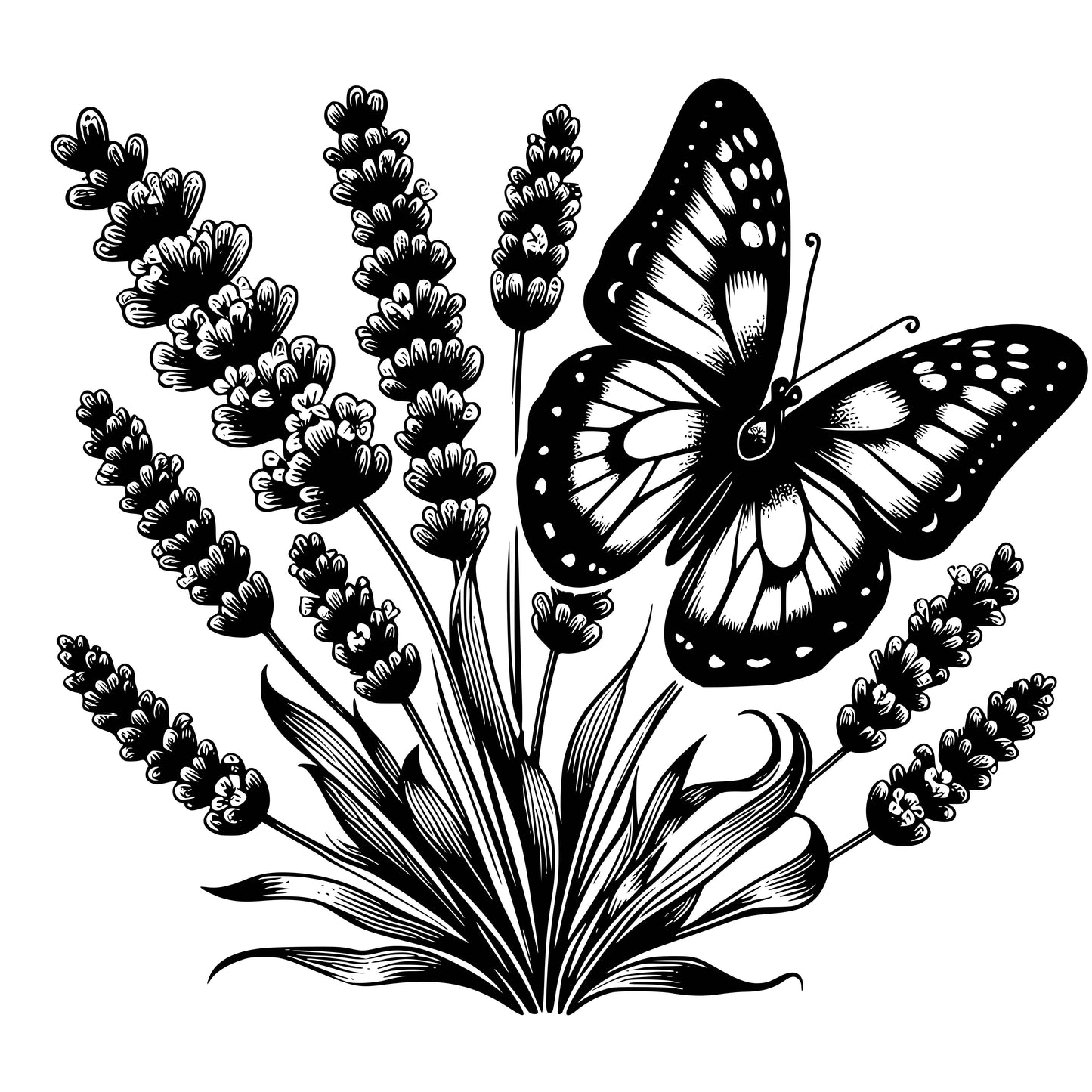 Butterflies