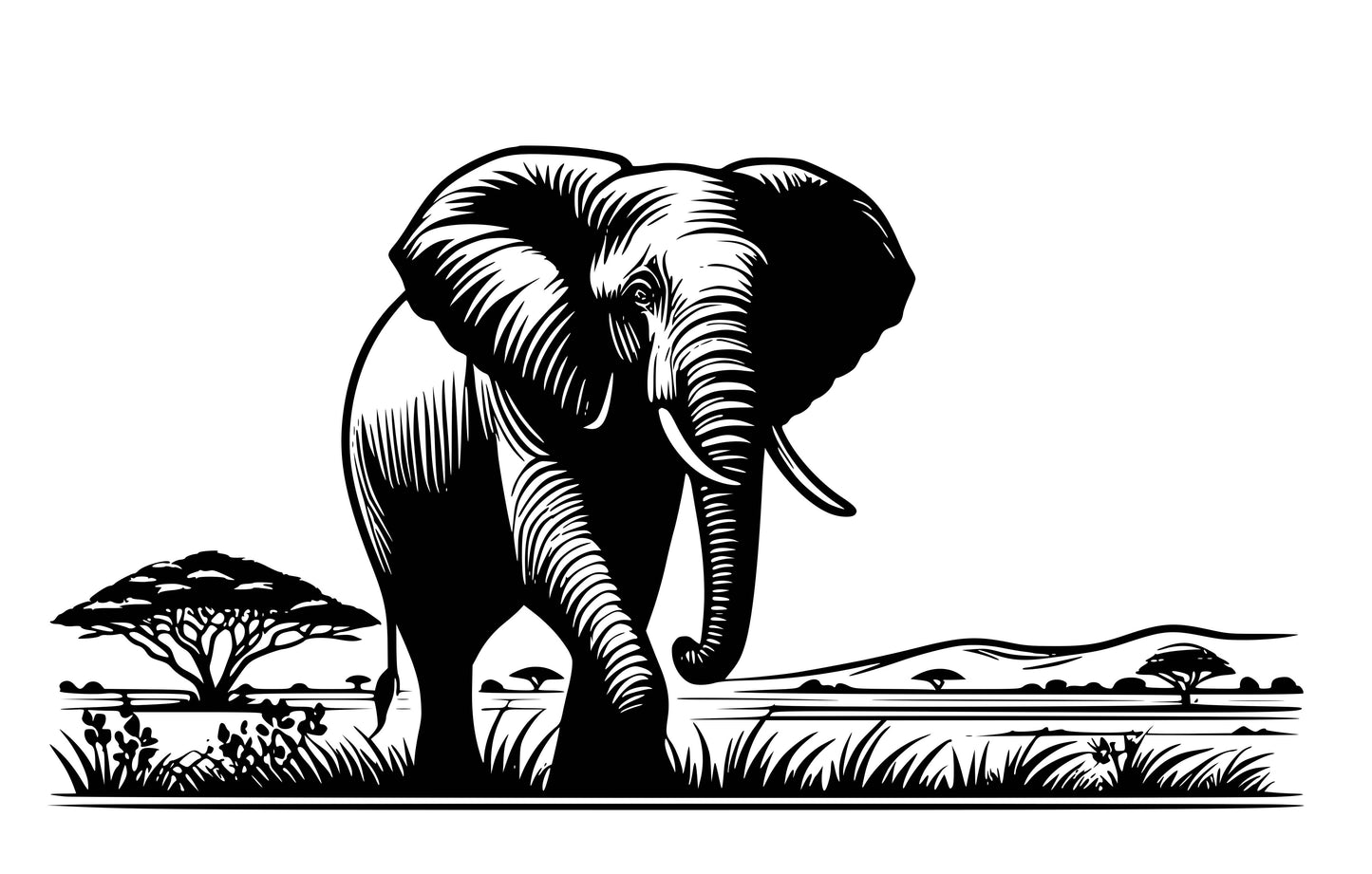 Elephants