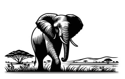 Elephants