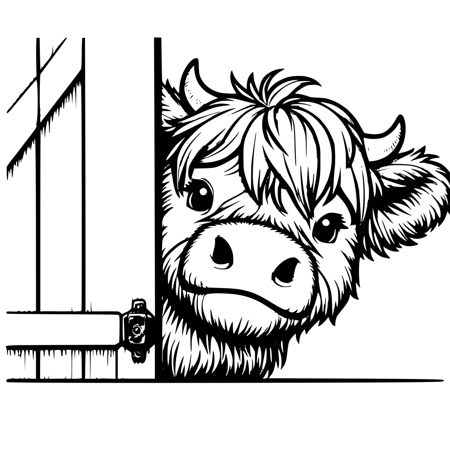 Highland Cows