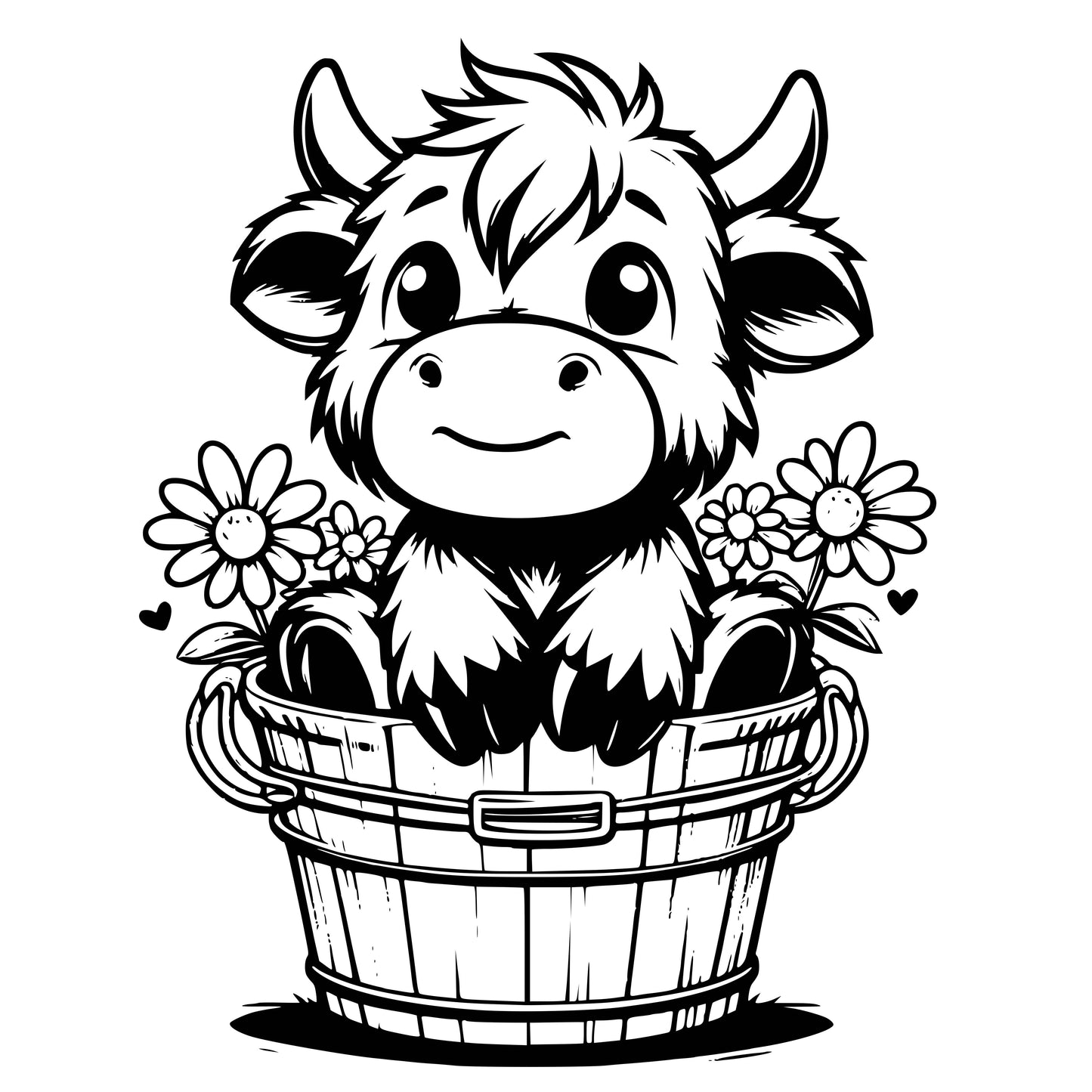 Highland Cows