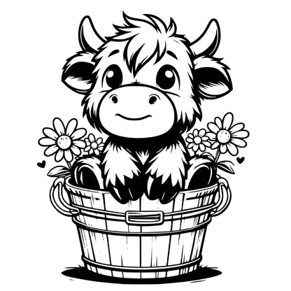 Highland Cows