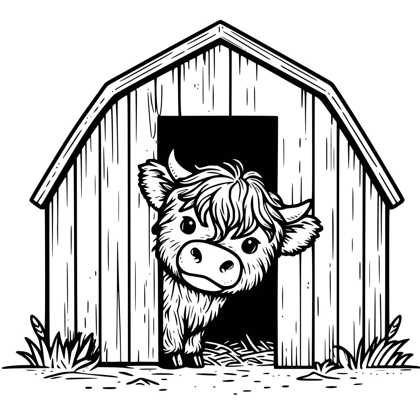 Highland Cows