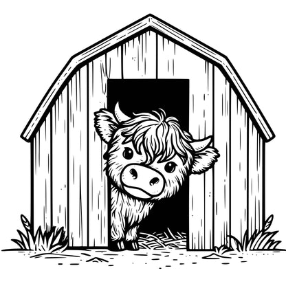 Highland Cows
