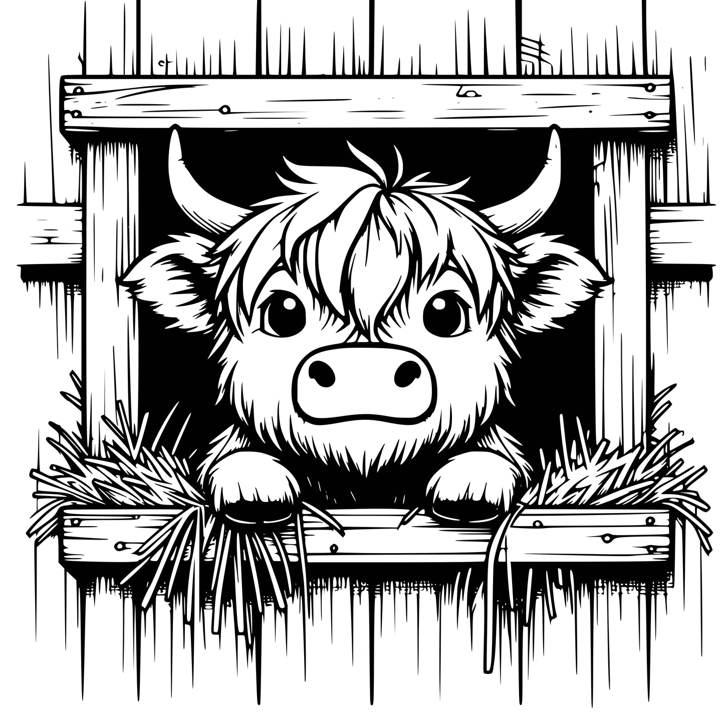 Highland Cows