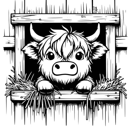 Highland Cows