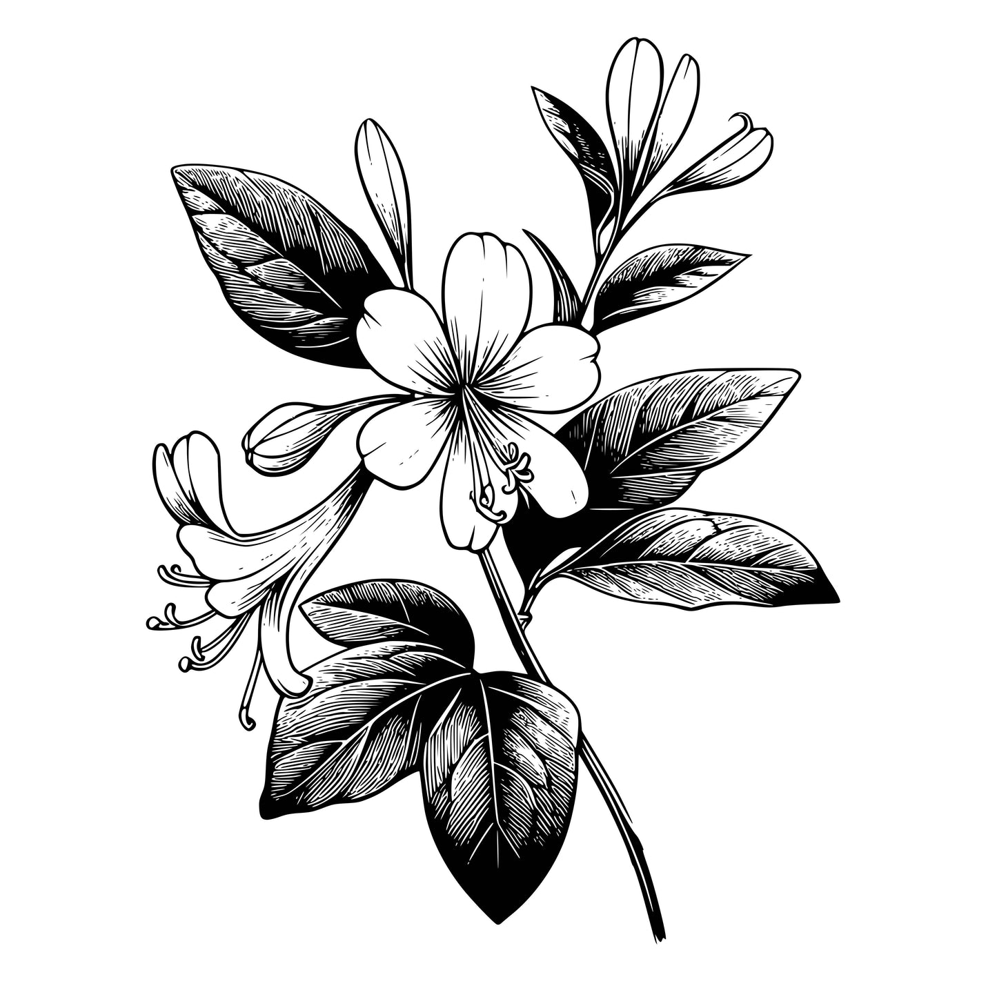 Flowers (single)