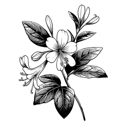 Flowers (single)