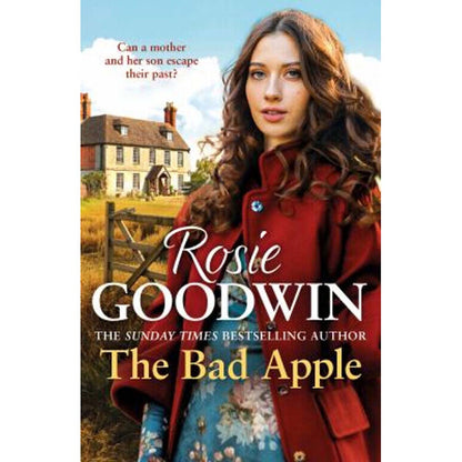 Stand Alone Novels by Rosie Goodwin