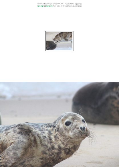 Seal Collection Cards