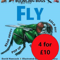 Fly - A Bouncing Bugs Book