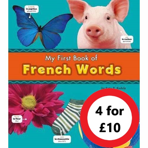 My first Book of French Words - English/French Picture Dictionary