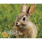 Rabbits
