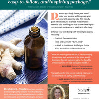 Essential Oils: A Beginner's Guide